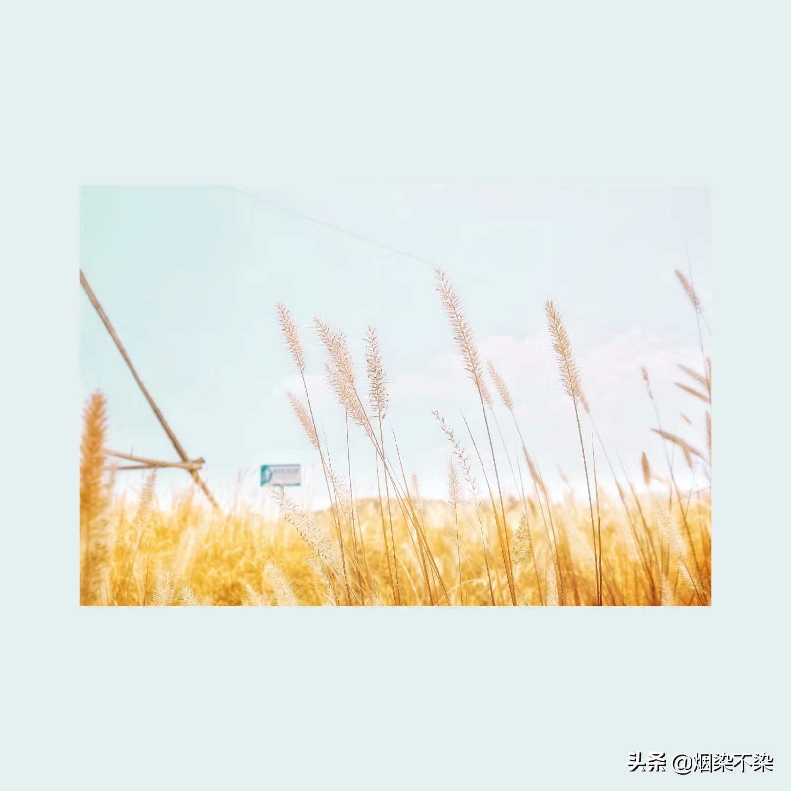 小说推荐|女主不是人系列