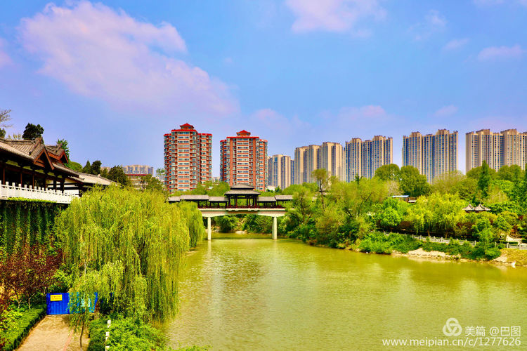 看洛阳牡丹花卉节,洛阳古都牡丹花展