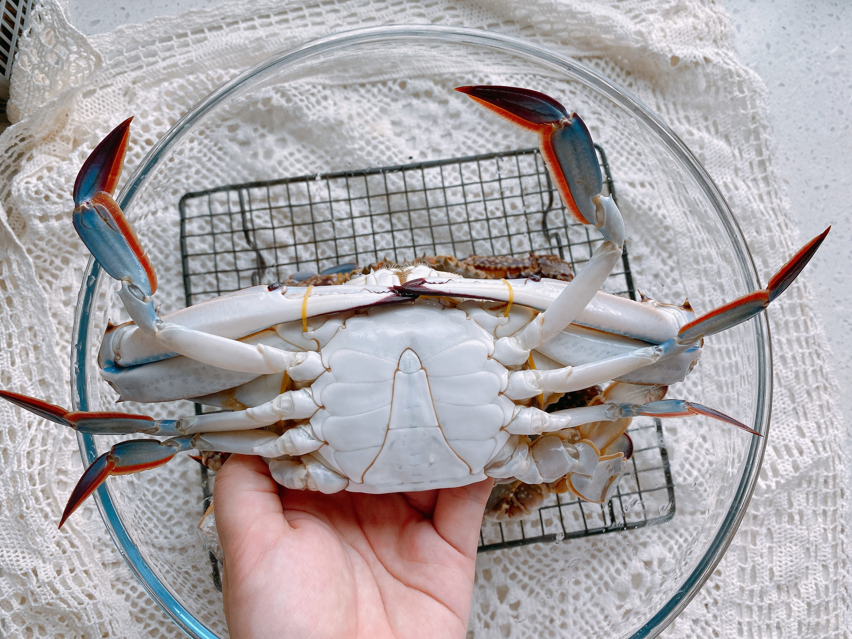 怎么挑选出好吃的梭子蟹,怎么挑梭子蟹肥美