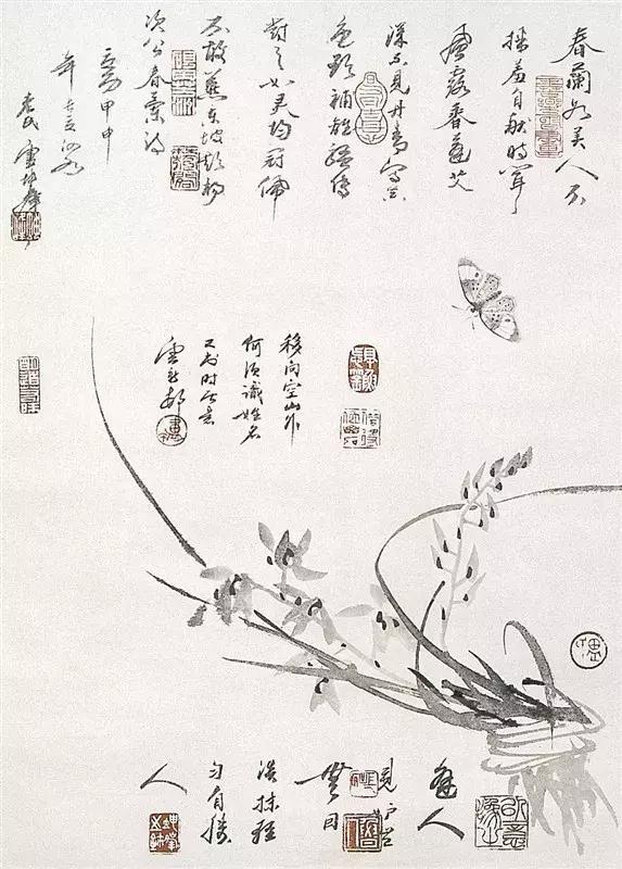 如何画兰花最好看的,君子兰花如何画