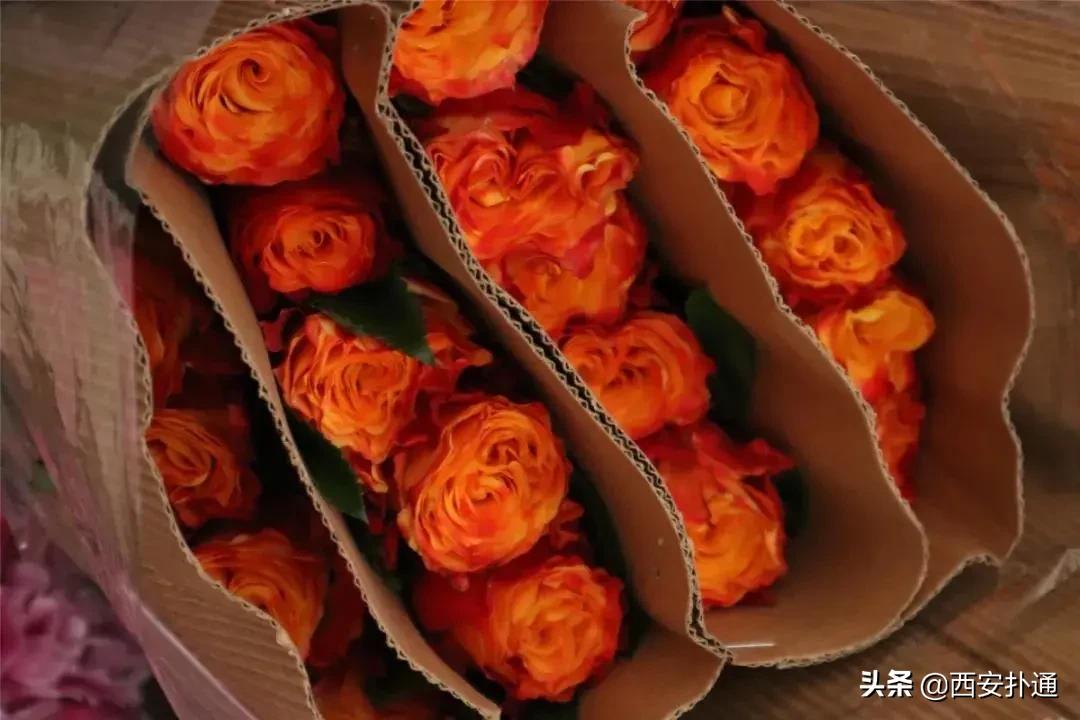 西安花市怎么买花便宜,西安最新花市