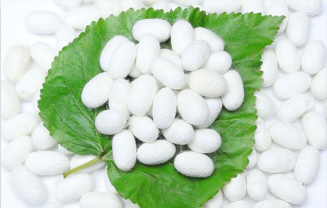 睡蚕丝被的好处和坏处,睡蚕丝被八大好处