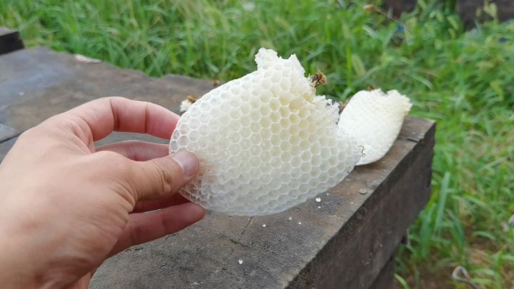 几十块钱买两斤蜂蜜靠谱吗？