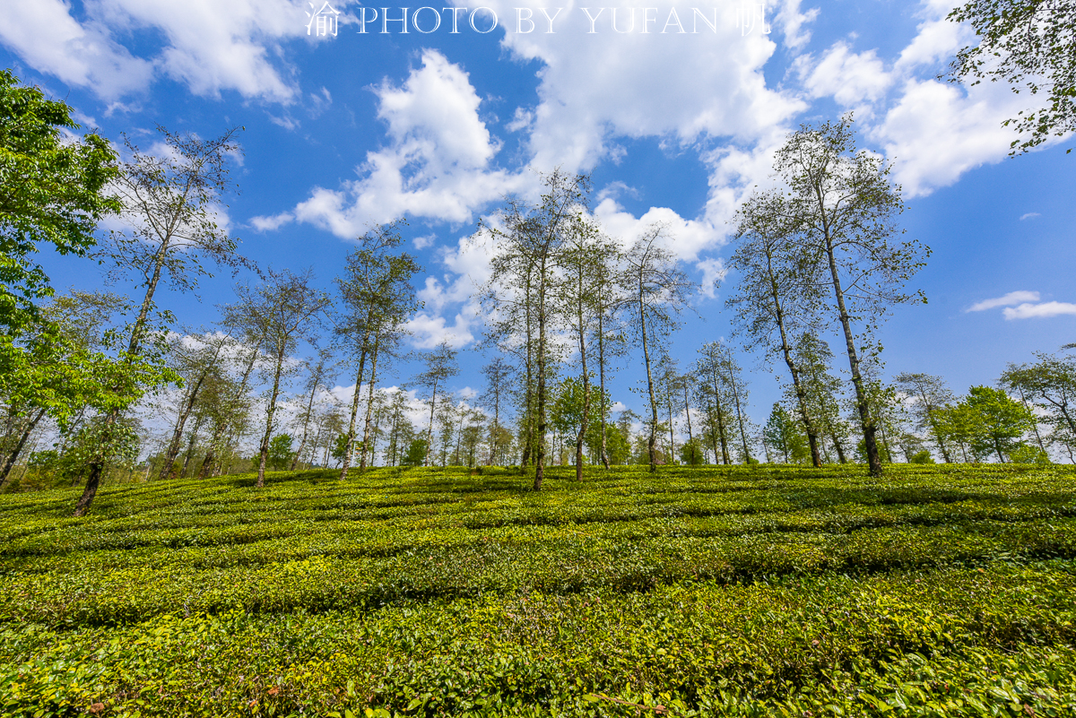 七彩云南旅游真实感受,什么是七彩云南