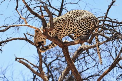 假期撒手没的戏精同事们，竟然在我挤春运的时候吹海风？？（下）