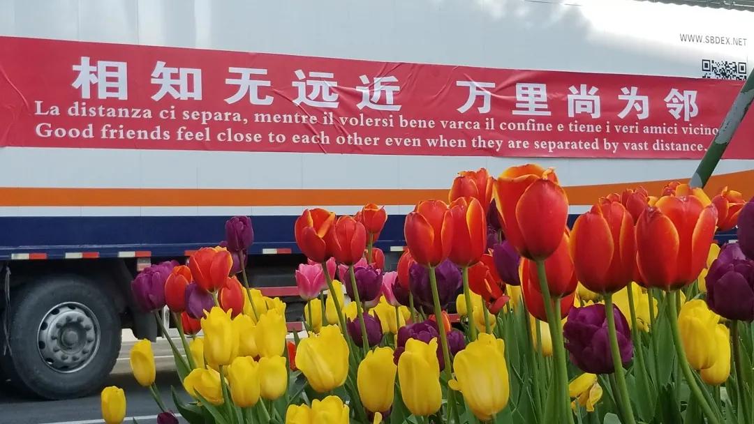 意大利已成“人间炼狱”，中国主动帮别国穿上防弹衣