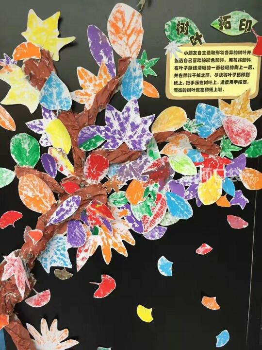 儿童进行树叶拓印过程图片,拓印创意美术9到12岁树叶大型作品