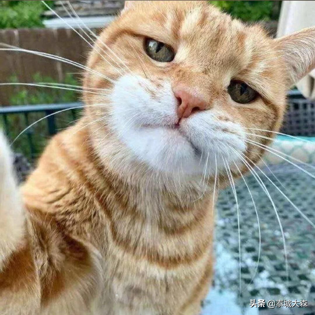 怎样学好行测才能得高分,行测全职备考50多分