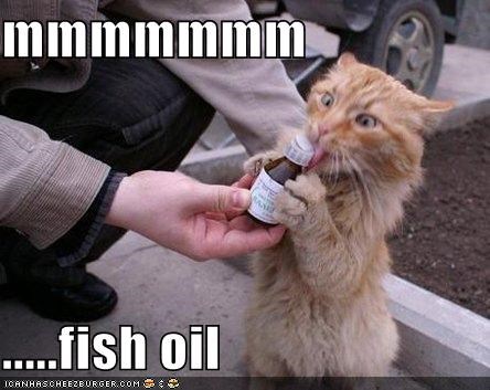 鱼油补剂,鱼油保健品有用吗