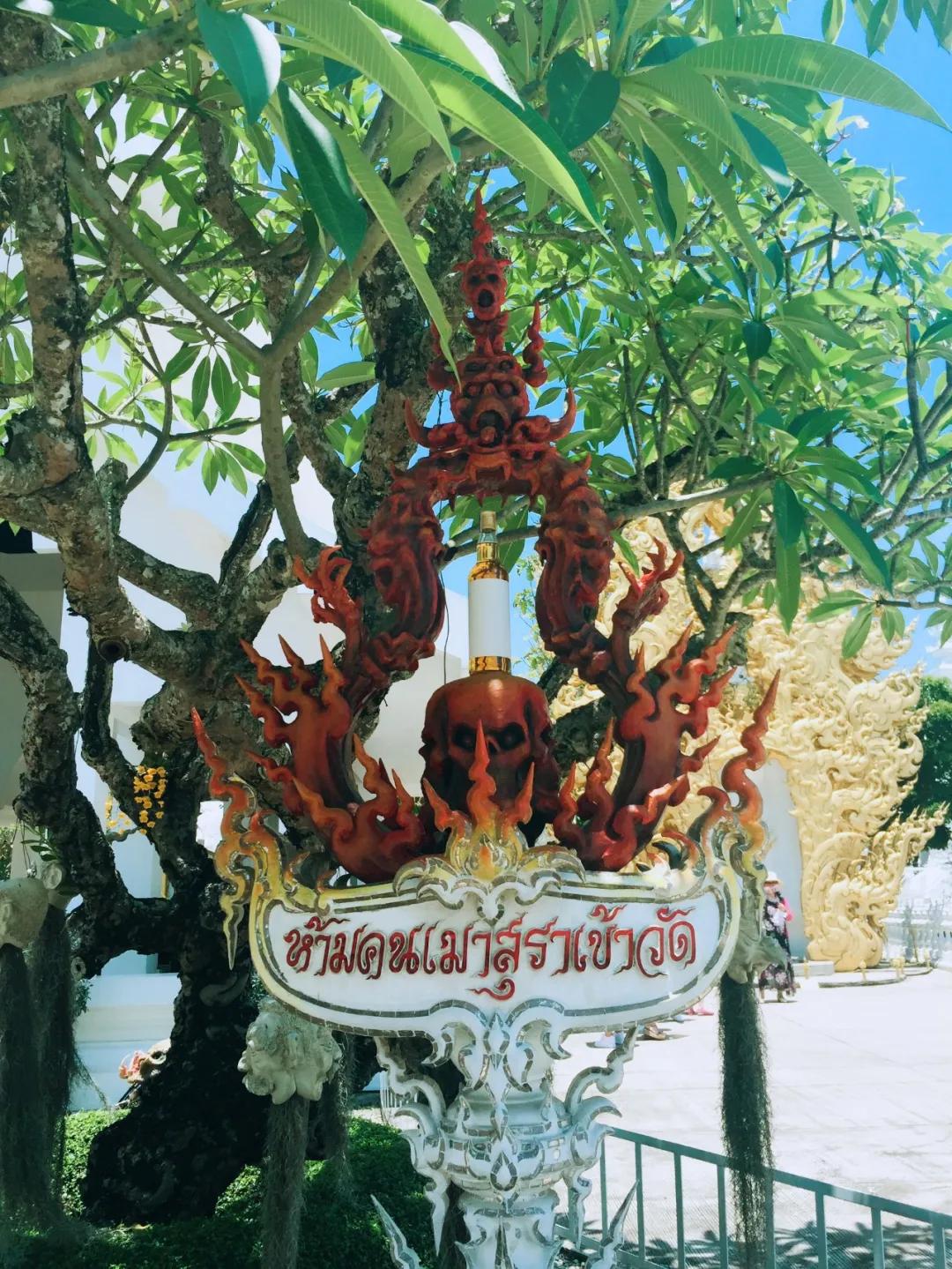 泰国清迈游玩攻略视频,泰国清迈四日旅游攻略