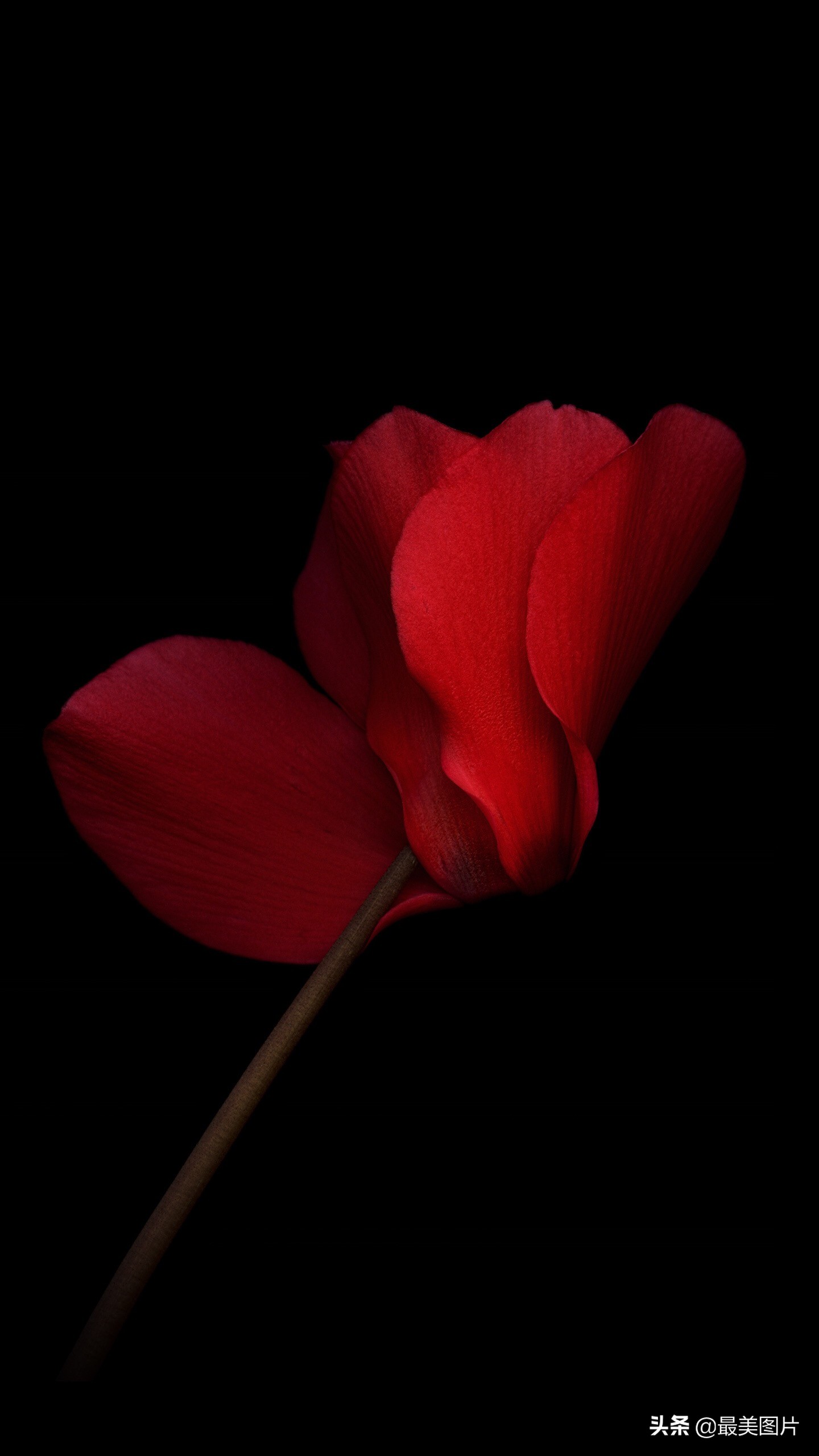 手机商务壁纸高清金属质感,高清手机壁纸简约时尚大全