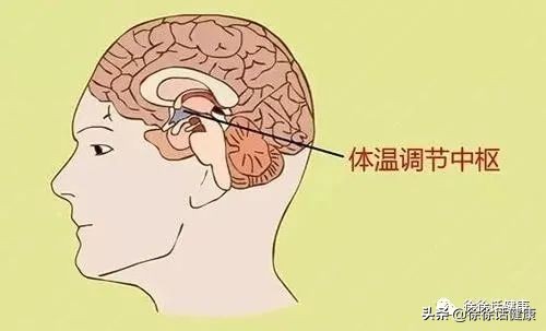 退烧才是真正的开始,中医贴穴位退烧靠谱吗