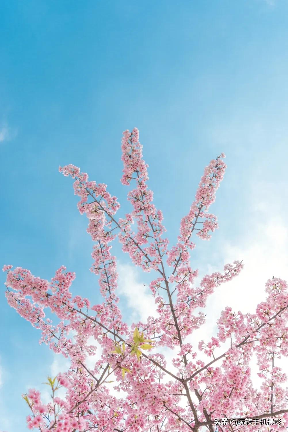 手机修图技巧大全免费,华为手机修图技巧