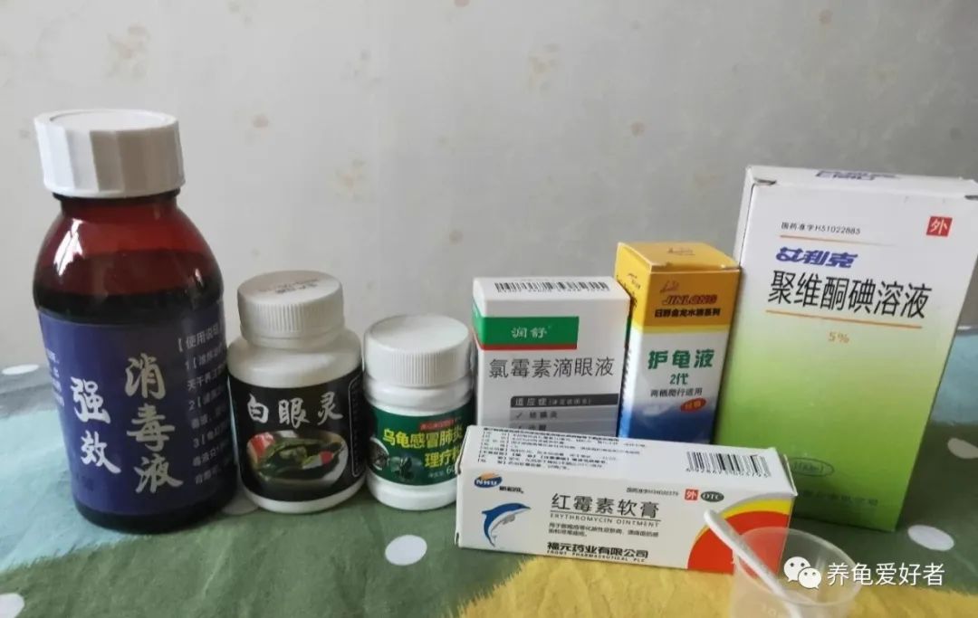 一位合格的养龟爱好者，家中常备这些东东