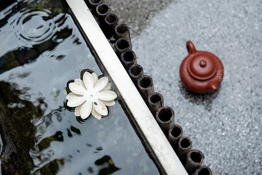 年过完,壶串味了,咋整?