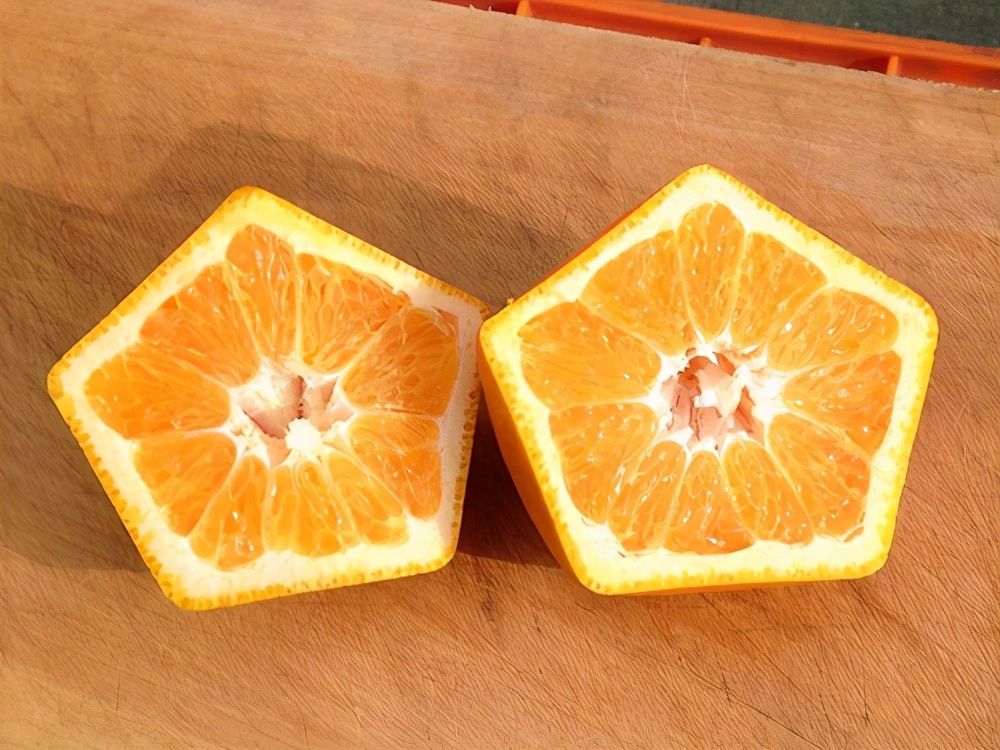 日本香蕉可以带皮吃吗,日本香蕉50元