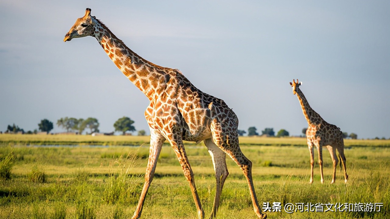 11月北戴河一日游最佳攻略,北戴河假期去哪里玩