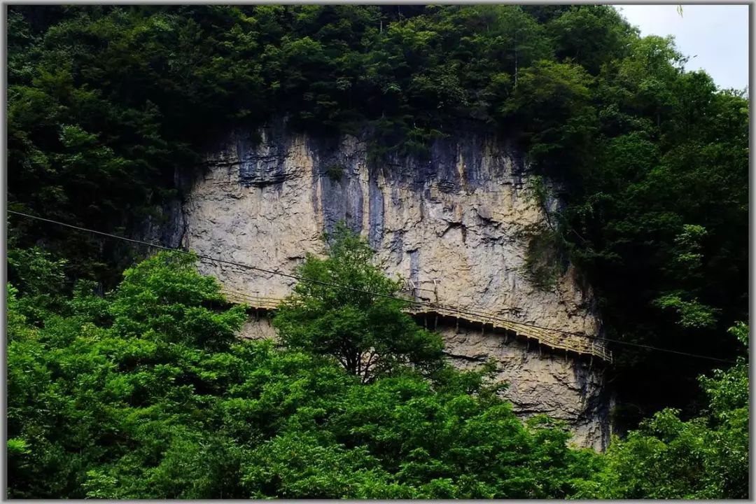 九峰源丨千年神农架，情系女儿城