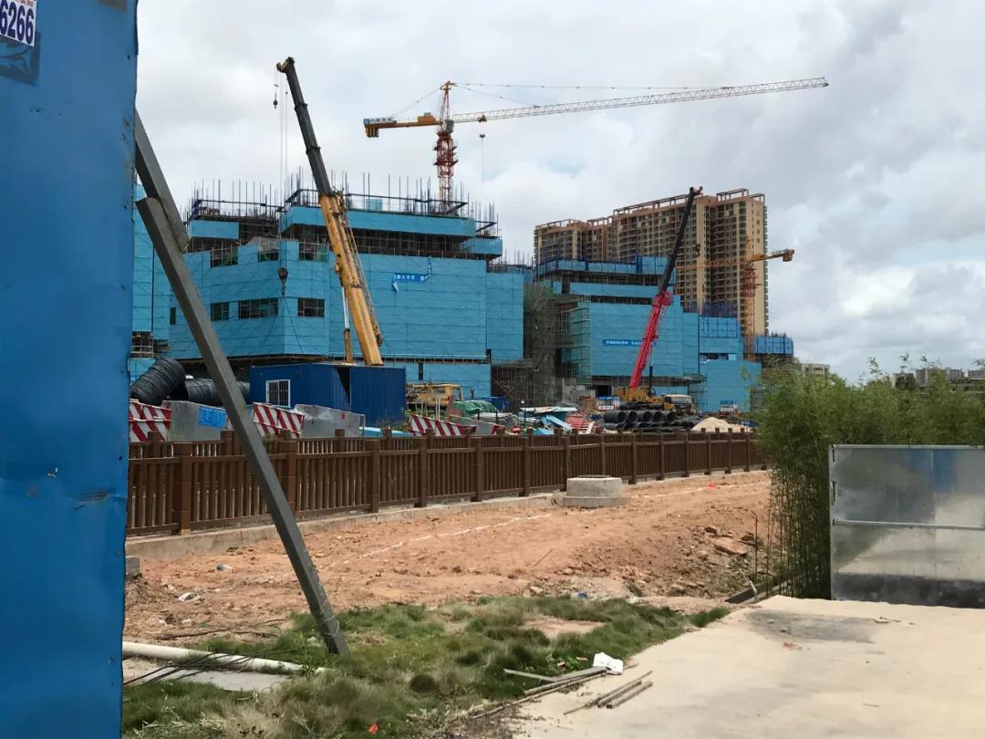 沙井本地人富裕吗,沙井土著