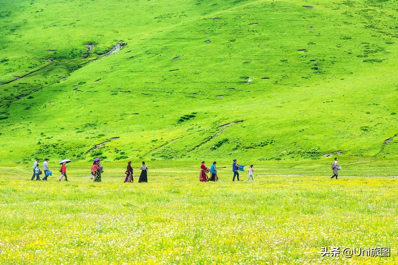 六月的若尔盖，一个不能错过的人间天堂