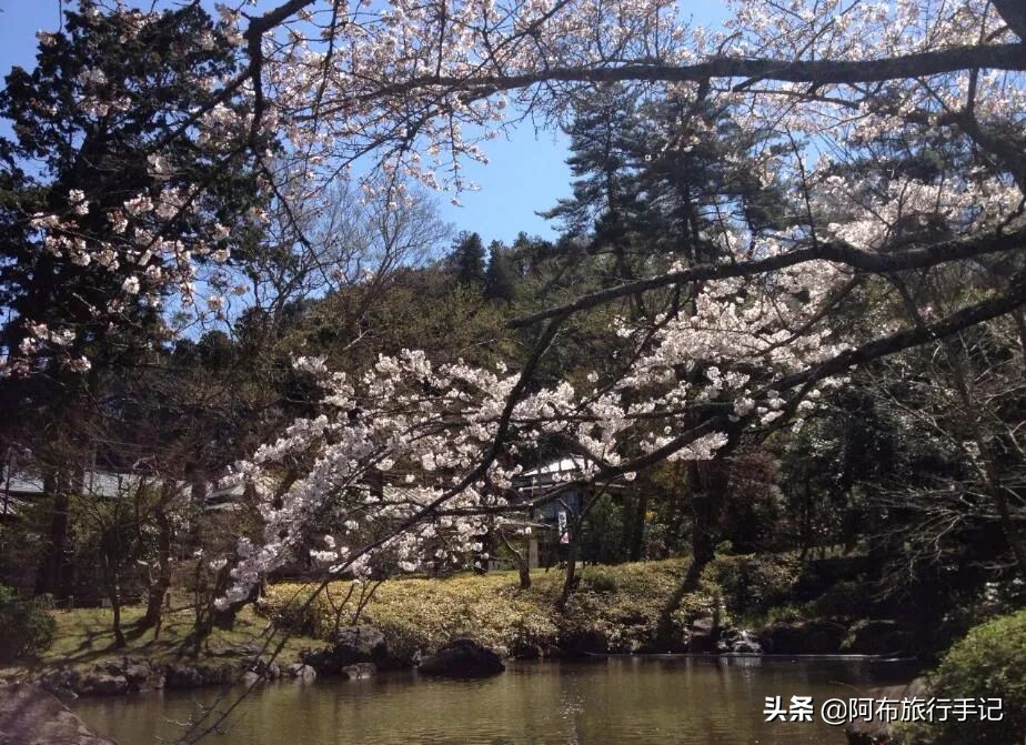 成田机场对比羽田机场,成田机场和羽田机场有什么不一样