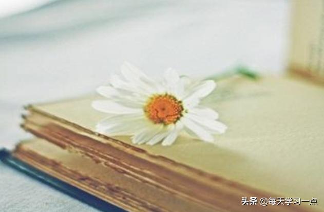 14种记忆法背诵口诀,14种记忆法总有一款适合你