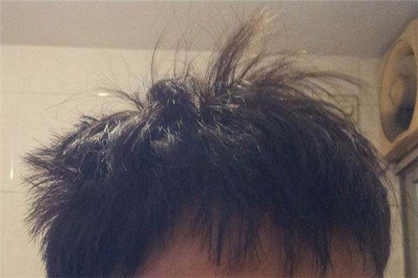 头发硬而粗一生好辛苦什么意思,头发粗硬是辛苦的命吗