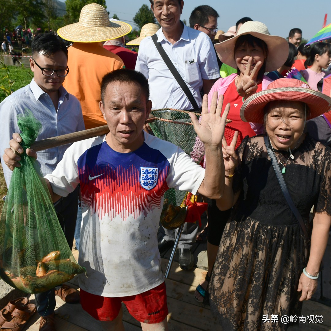 连南稻田鱼节效应显现,连南稻田鱼节开幕