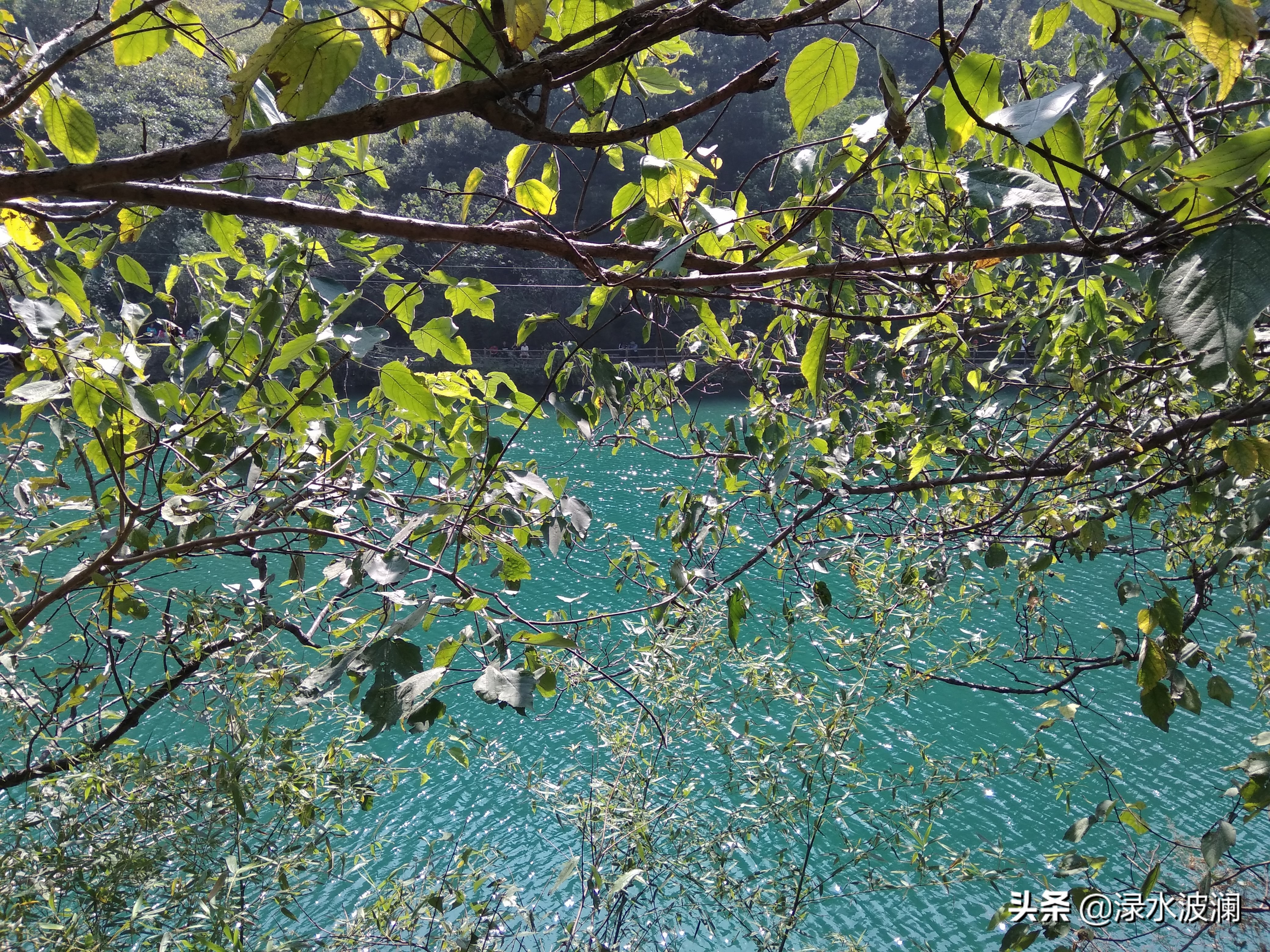 河南新乡辉县八里沟的前世今生,河南辉县八里沟景区如何