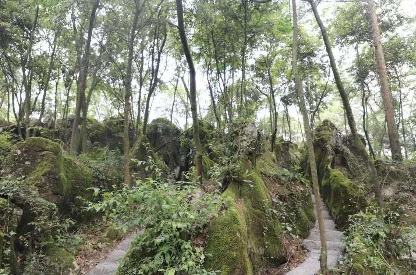 南川免费避暑景点,重庆南川康养胜地避暑度假村