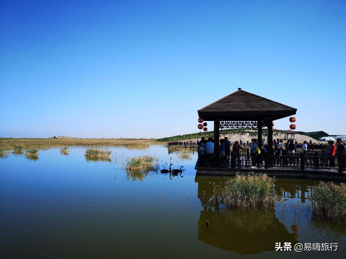 天津周边踏春好地方,天津一日游踏春路线