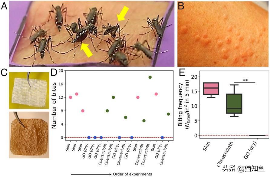 石墨烯能让人在蚊子面前“隐形”?高科技材料功能太强大
