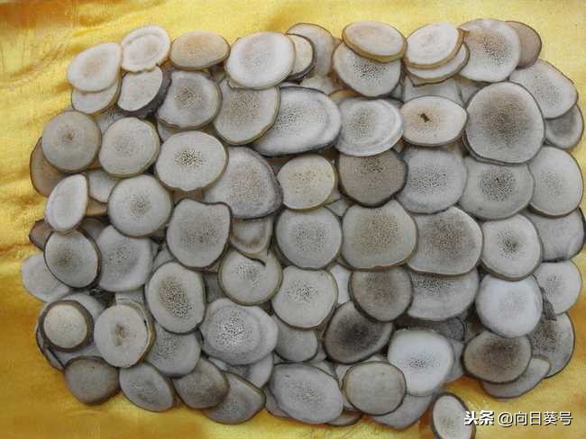 鹿茸红粉片每日用量,鹿茸的奇效