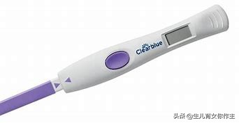 准确测定排卵日的N种方法(上)