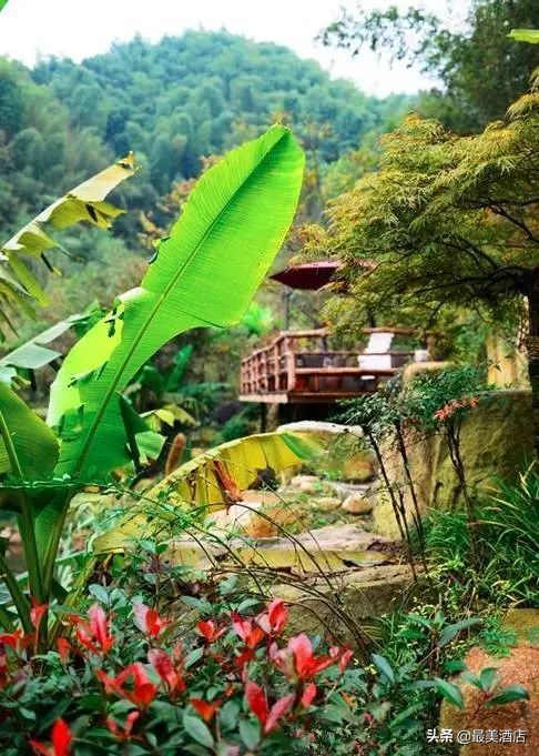 为一姑娘，10年他把30亩荒地打造成梦想家园，让人懂得真爱的意义