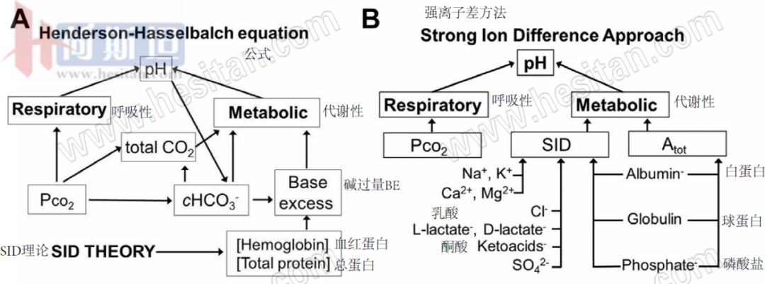 张廷青:如何应用强离子差理论诊疗防奶牛体内酸碱失衡?