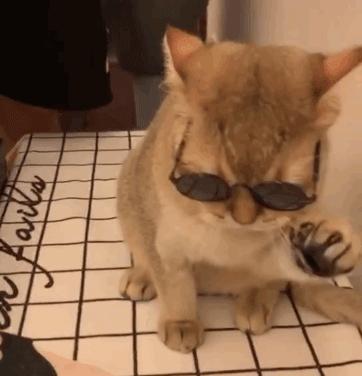 有了它做家务如此轻松,超级自然的光腿神器