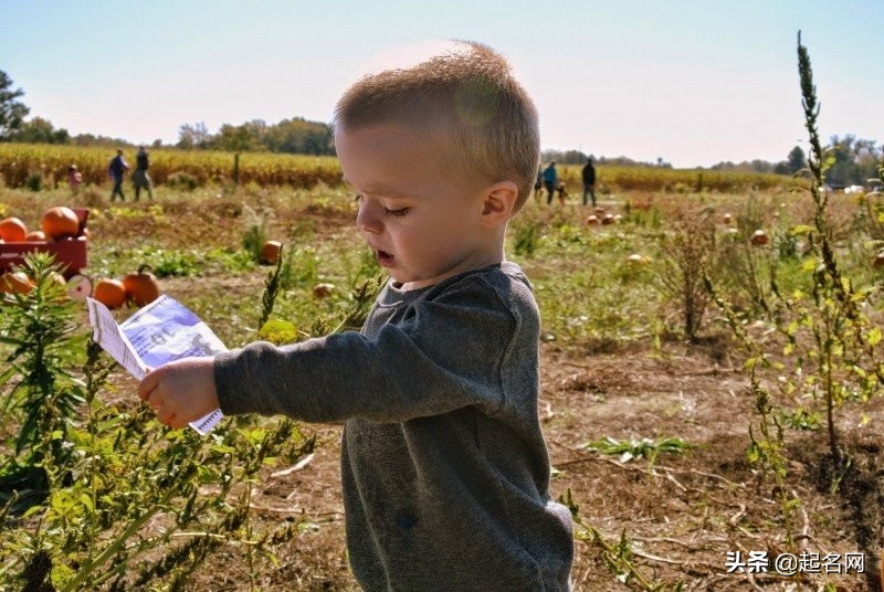 阳光爱笑的宝宝小名,带有满满的祝福