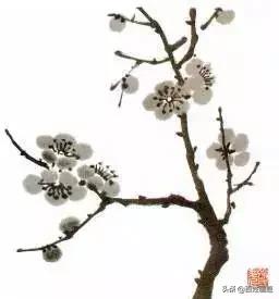 国画梅花画法视频,徐湛梅花画法教程