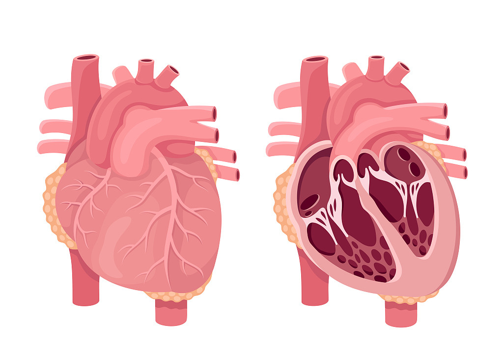 云南博亚医院案件,云南博亚医院康复