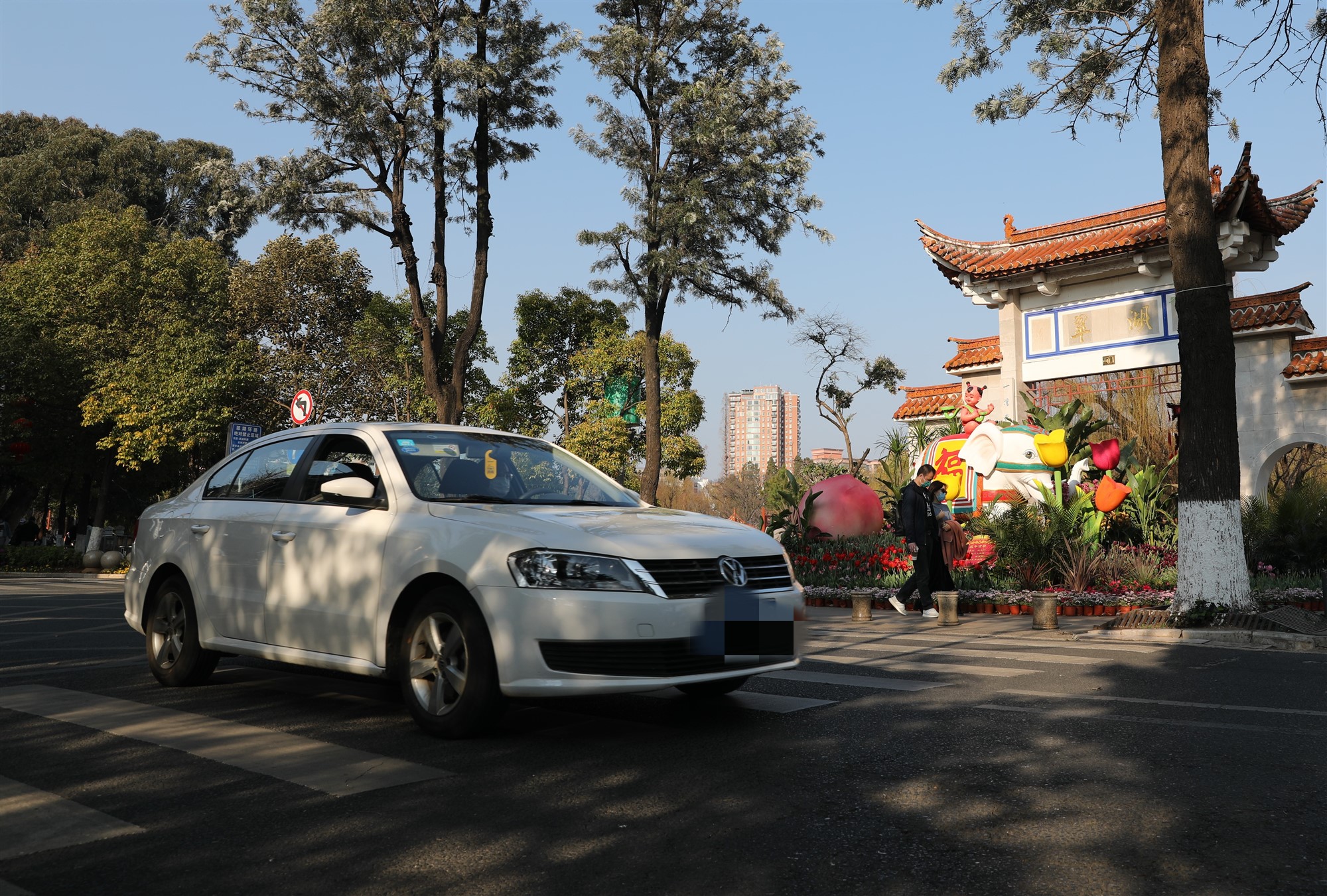 记者体验零购物港澳游,亲身体验租车一天费用明细表