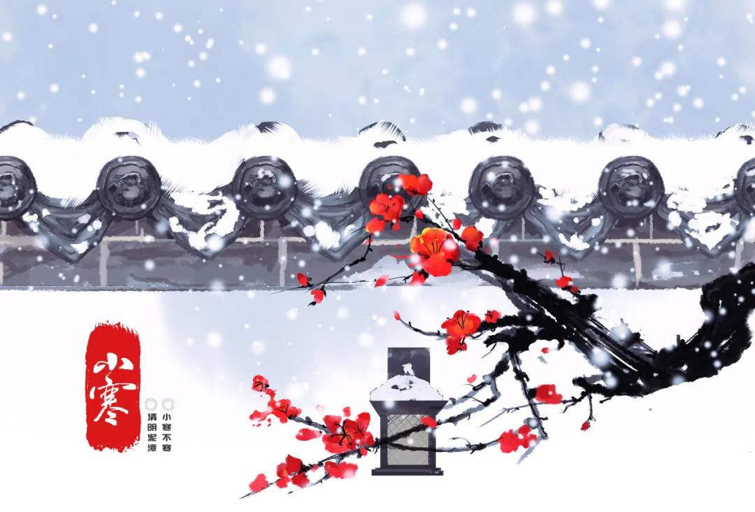 今日小寒养生篇,今日小寒保暖贴士