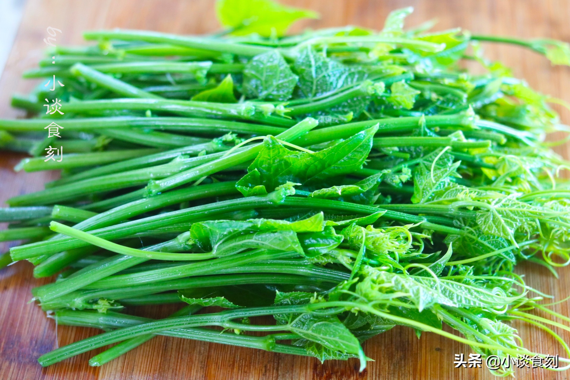 凉拌什么苗好吃又营养呢,什么菜苗可以凉拌好吃