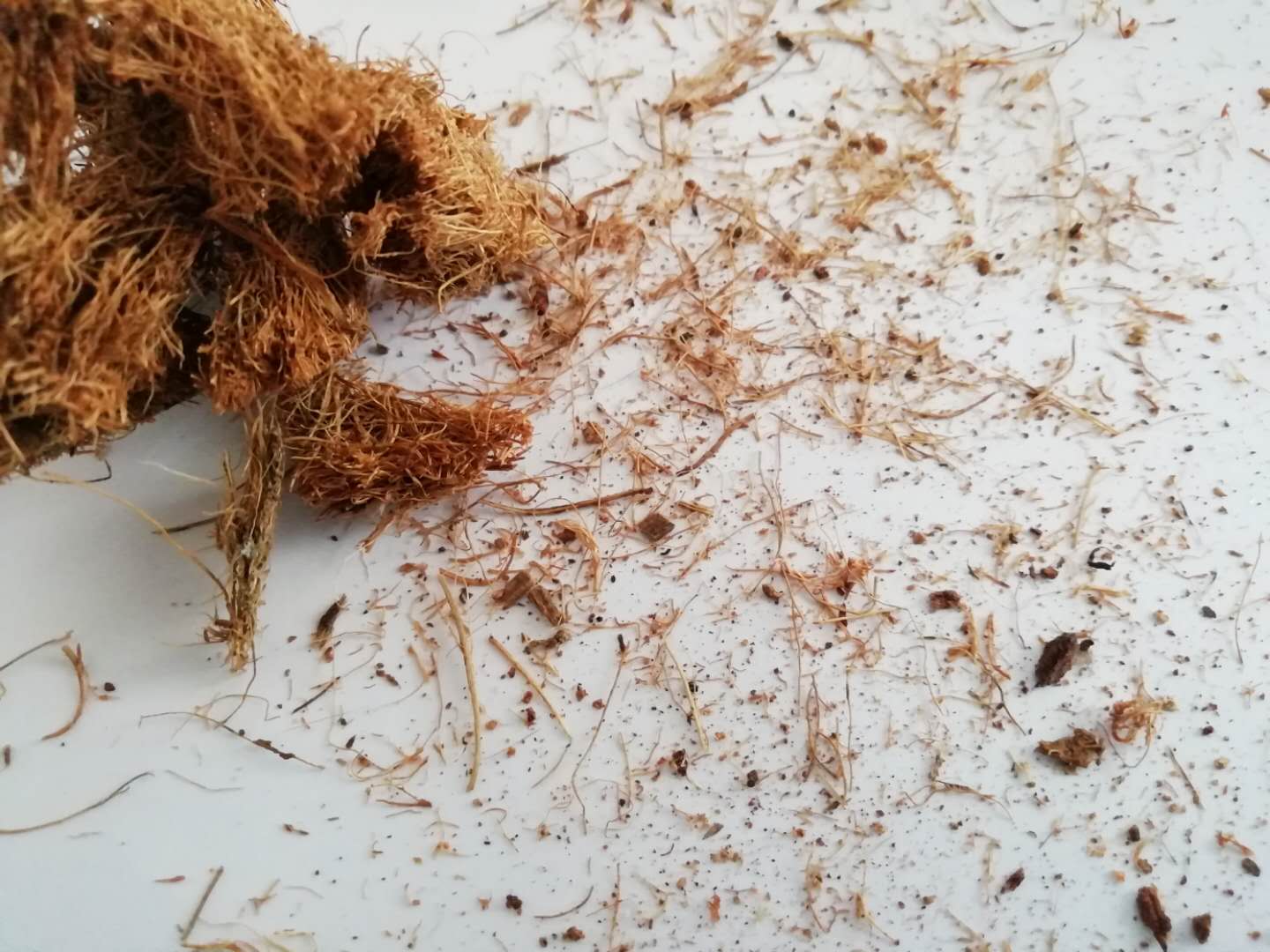 弹簧加棕垫好还是全棕床垫好,什么牌子的椰棕床垫好