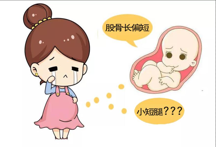 股骨长偏短孩子是不是长不高,股骨长说明宝宝高吗