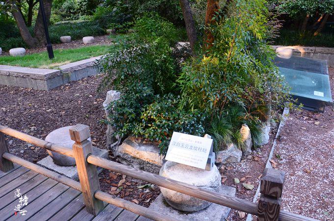 西湖一个风景秀丽令人神往的地方,西湖美景小西湖