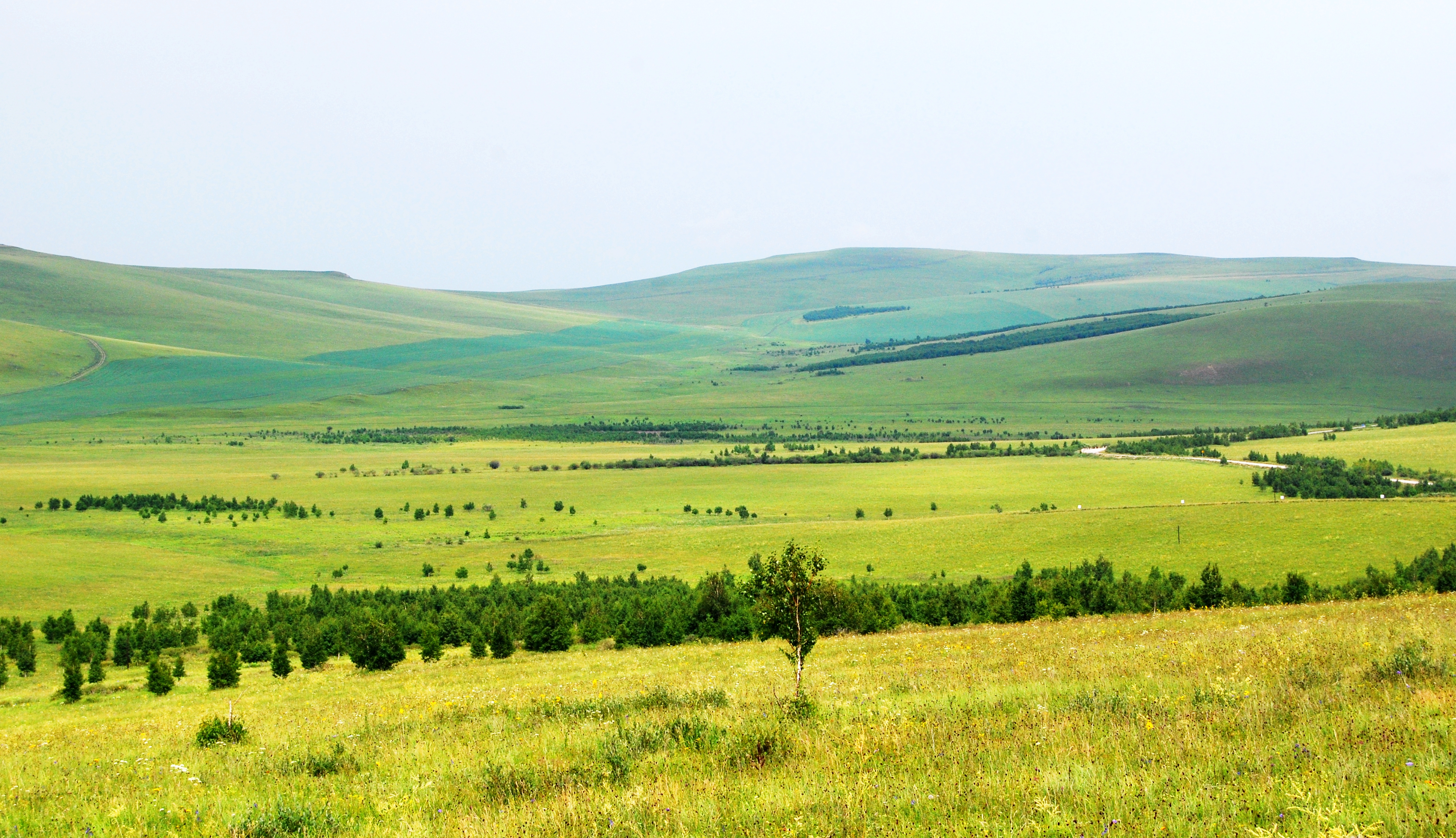 一辆车,从东乌旗沿中蒙边境公路到阿尔山,漫长边关寻迹历史遗存