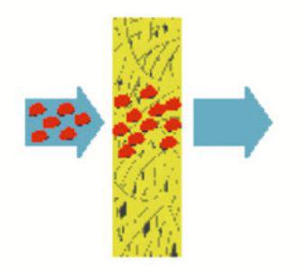 空滤不换会对发动机造成什么影响,空滤对油耗的影响大吗
