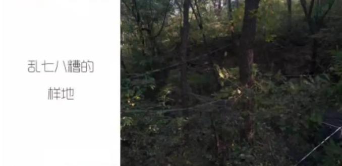 北京最大的大学：坐拥国家3*级A**景区，宿舍电视、空调、独卫浴俱全！