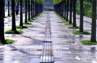 微景观材料的作用,微景观生态材料